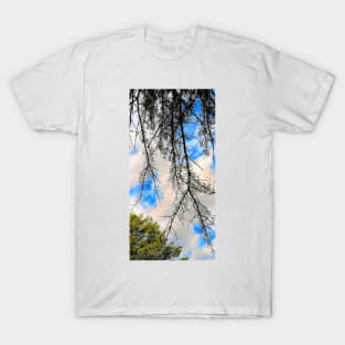 Under the Trees Cont'd T-Shirt